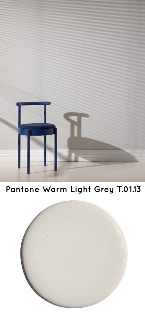 Pantone Warm Light Grey T.01.13 Neutral paint color 2020