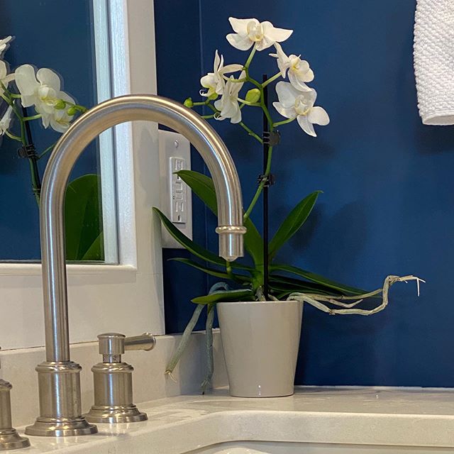 Benjamin Moore's Newburyport Blue bathroom