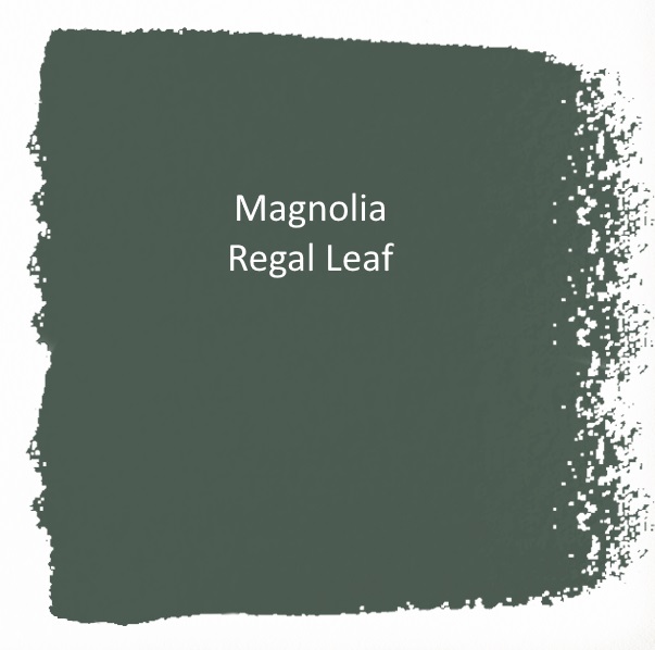 Magnolia Regal Leaf