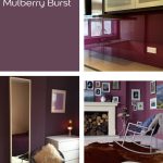 Mulberry Burst by Dulux