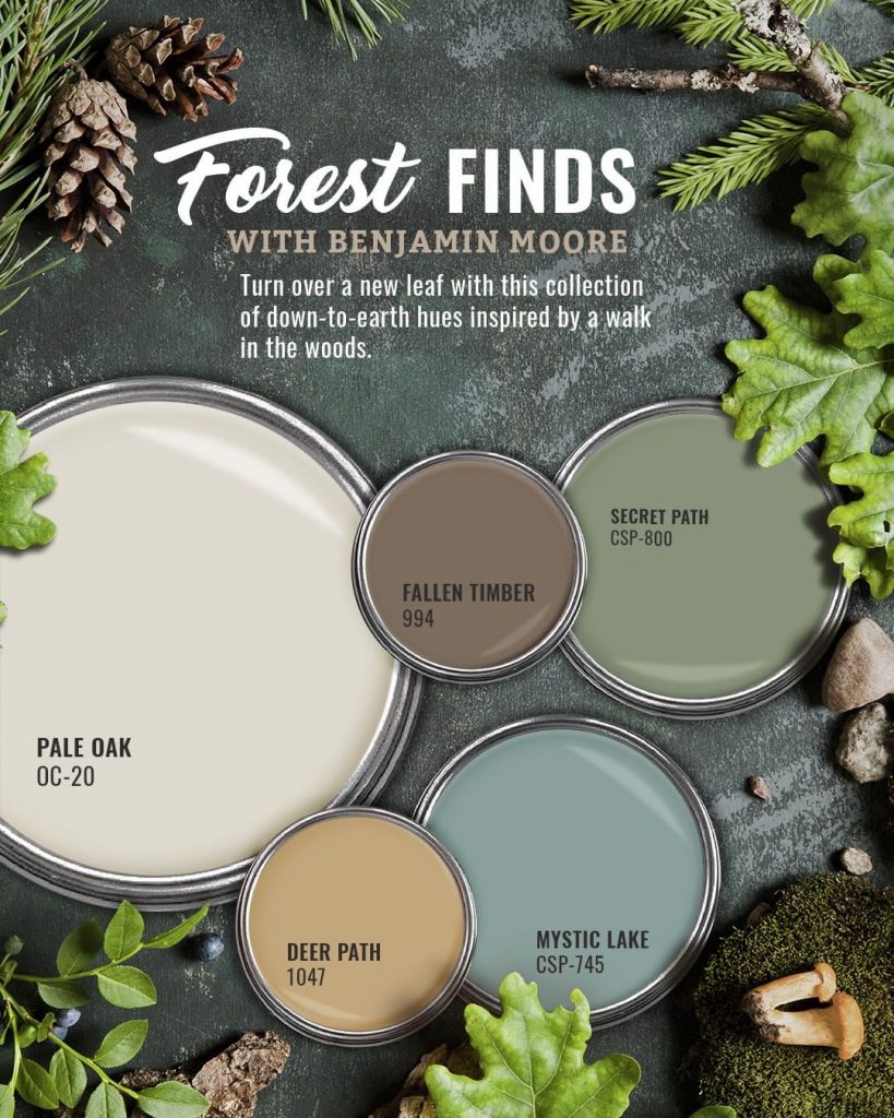 Benjamin Moore Forest Green Paint Color Scheme