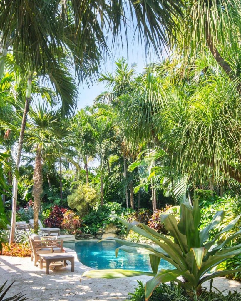 Pool Landscaping Ideas tropical garden