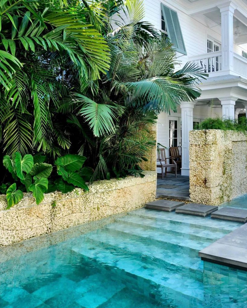 Pool Landscaping Ideas tropical palms