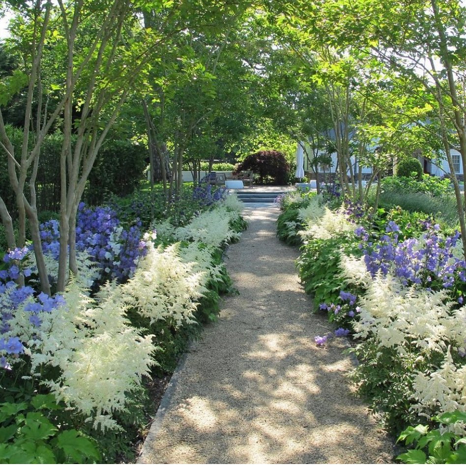 tree and flower path shaded