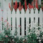 cottage garden ideas