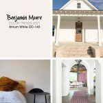 Benjamin Moore Atrium White