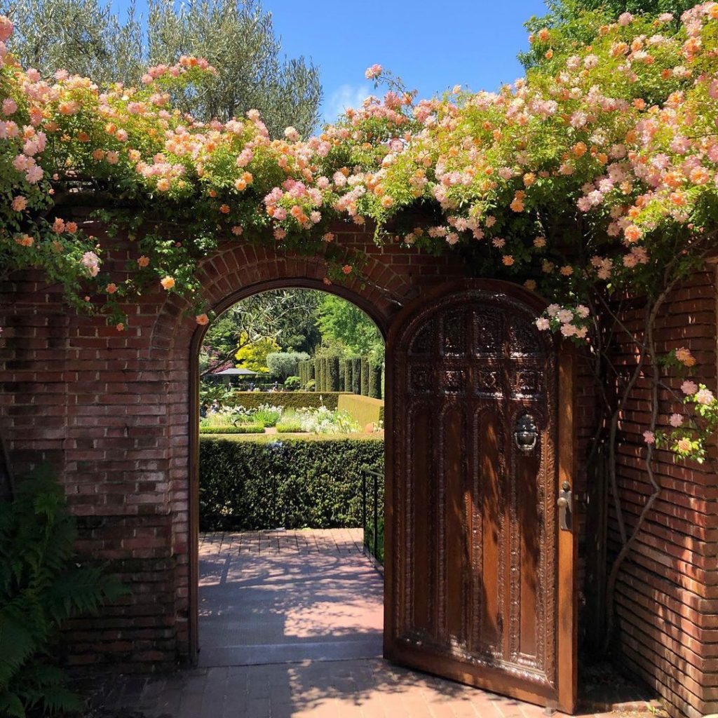 Doorway with climbing rose