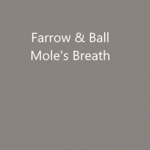 Farrow & Ball Mole's Breath