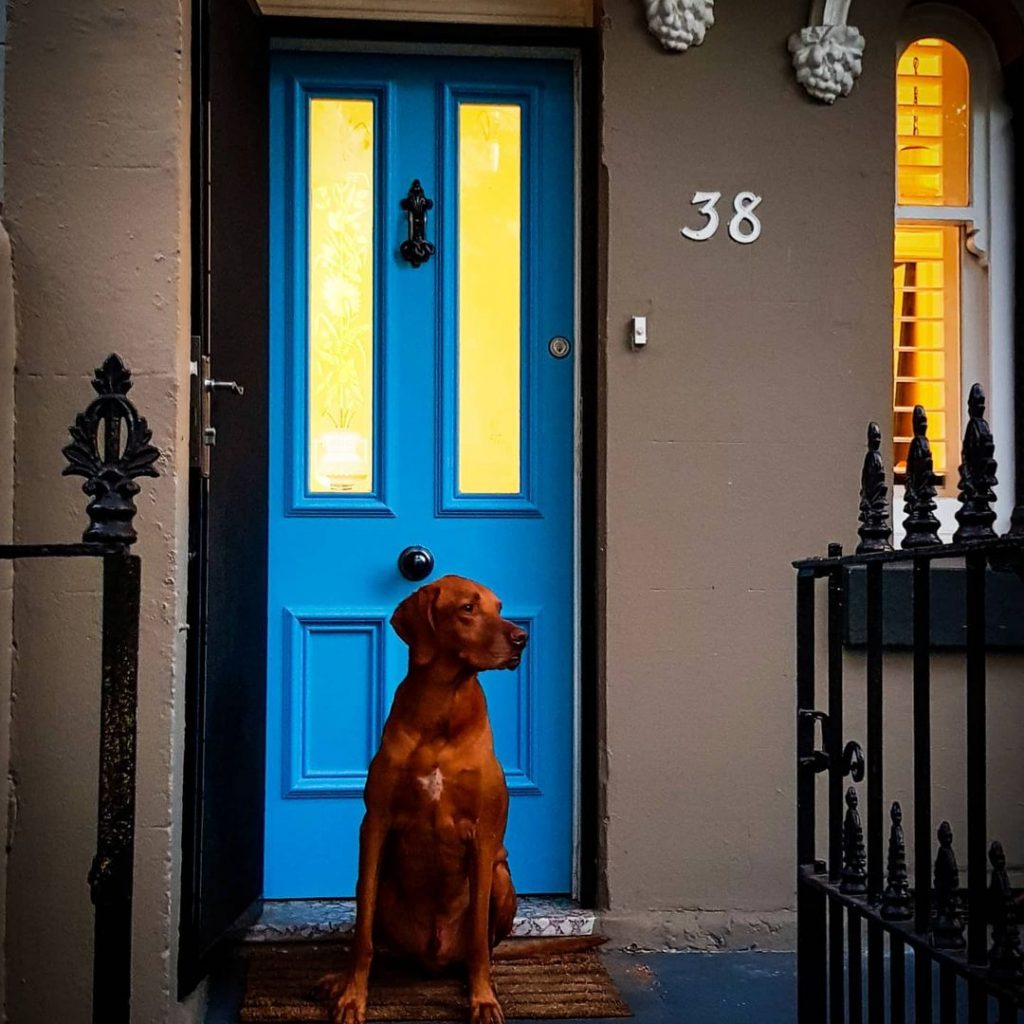 Dulux Cousteau blue front door paint color