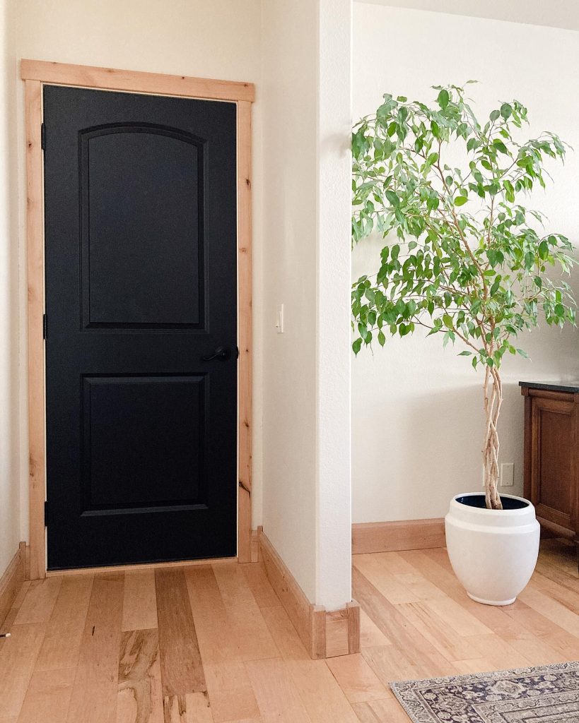 Benjamin Moore Onyx Black painted door