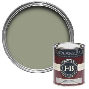 Farrow & Ball Lichen paint swatch