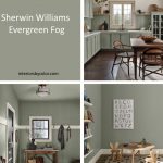 Sherwin Williams Evergreen Fog