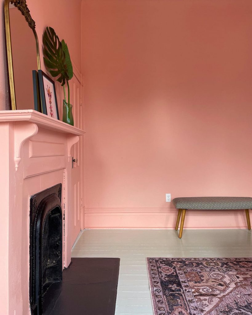 Sherwin Williams rachel pink paint color