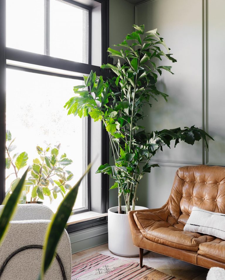 Sherwin Williams Evergreen Fog and Plants - Interiors By Color