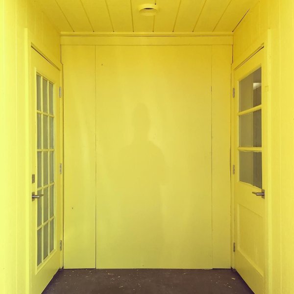 Sherwin Williams Lemon Twist walls and doors