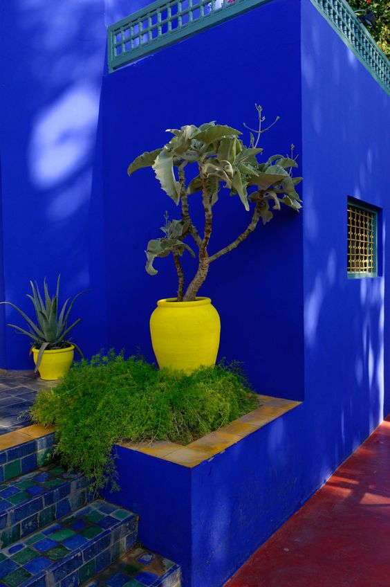 blue and yellow garden