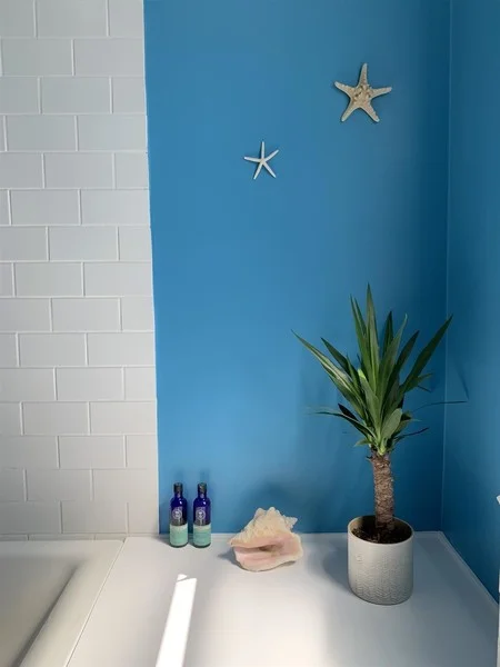 Farrow and Ball st Giles Blue walls bathroom