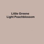 Little Greene Light Peachblossom