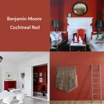 Benjamin Moore Cochineal Red paint color