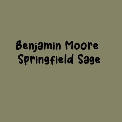 Benjamin Moore Springfield Sage