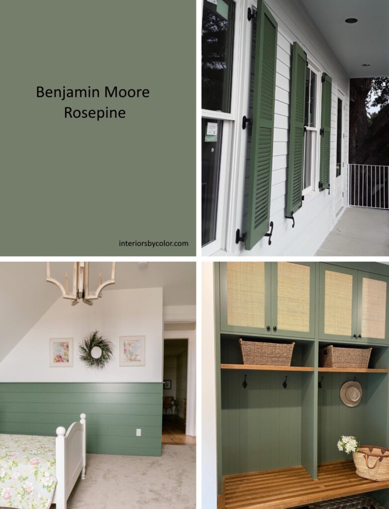 Benjamin Moore Rosepine - green paint color