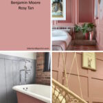 Benjamin Moore Rosy Tan