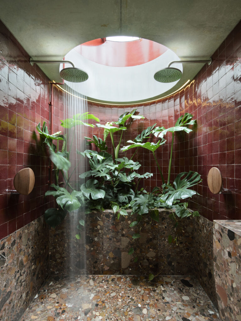 SJB Interiors shower with real plants. The Australian Top 20 Interior Designers