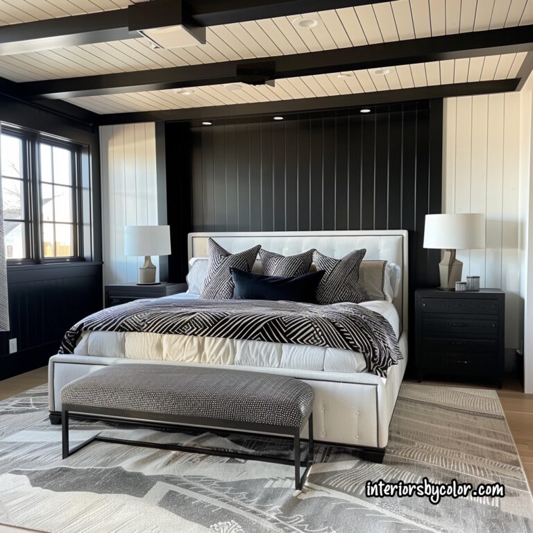 Black-Bedroom-Ideas-for-Adults-contemporary - Interiors By Color